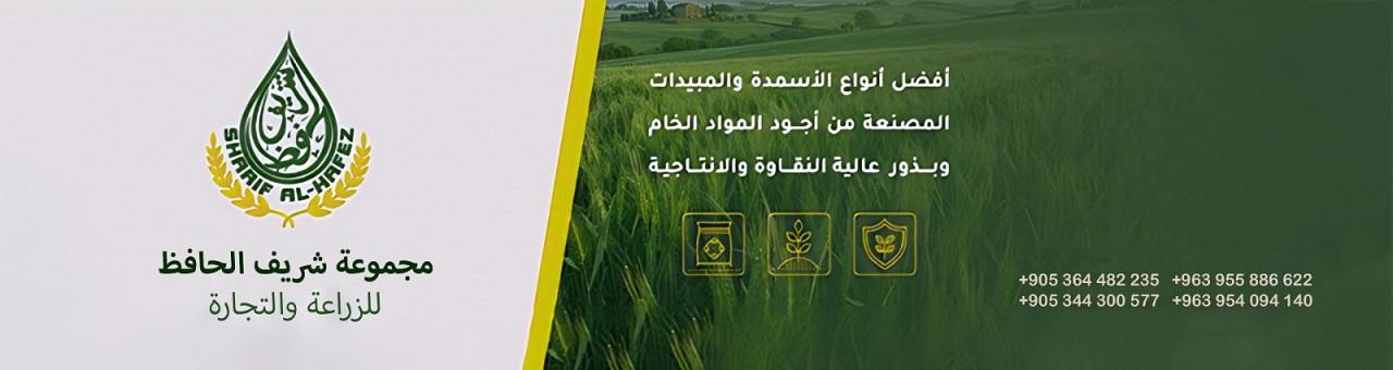 الحافظ