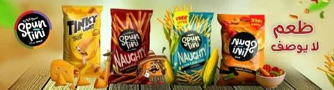 شركة سبونتيني