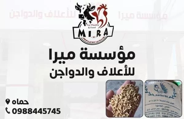 Mira Foundation (Feed and Poultry)