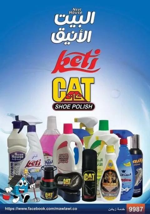 البيت الأنيق 