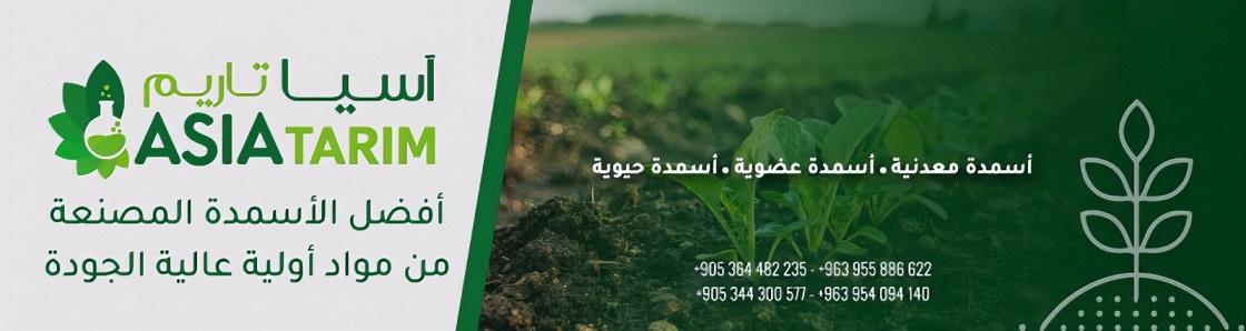 اسيا تاريم