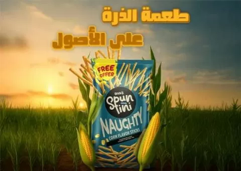 شركة سبونتيني